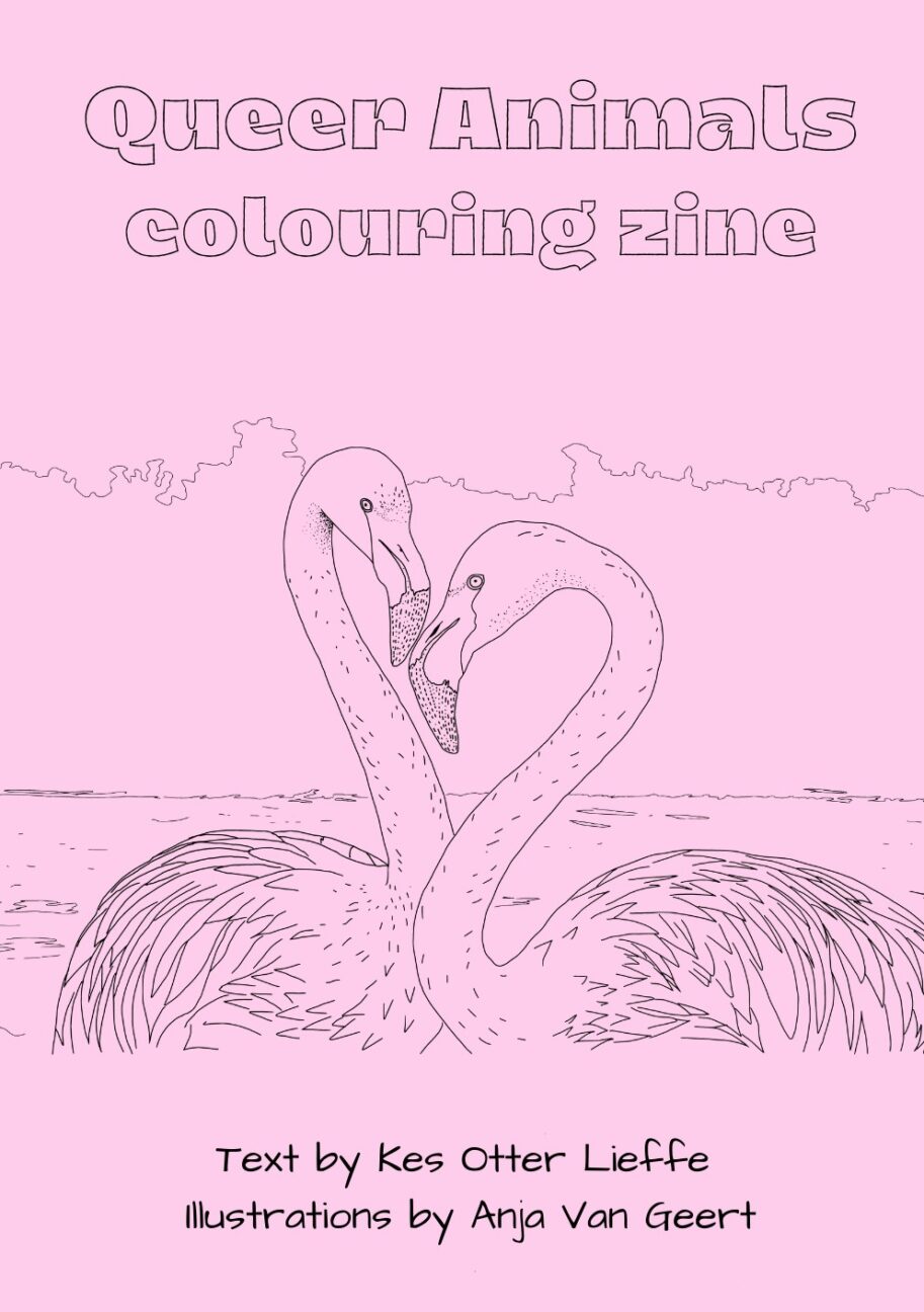 Queer Animals colouring zine - Active Distribution